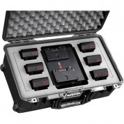 Pelican Case For Paglink Pl94 Batteries And Pl16 Charger