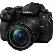 Panasonic Lumix G95 Mirrorless Camera 12-60mm Lens