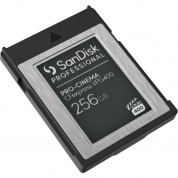 Sandisk 256gb Pro-cinema Cfexpress Type B Card