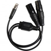 Gvm Dmx 3-pin Xlr Y-cable 20 Inch