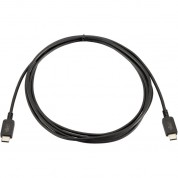 Pearstone Usb 2.0 240w Charging Cable 6.6ft