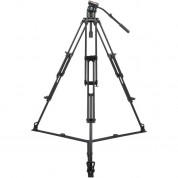 Sirui Bct-2003 Tripod & Bch-10 Video Head Bundle