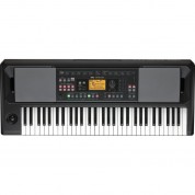 Korg Ek-50 Portable 61-key Arranger Keyboard Latin Styles