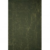 Hand Painted Distressed Backdrop Green 6.9x8.9