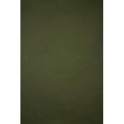 Hand Painted Classic Low Texture Backdrop Green 8.9x16.4