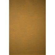 Gravitybackdrops Hand Painted Classic Low Texture Backdrop Ochre