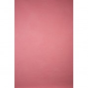 Hand Painted Classic Low Texture Backdrop Pink 6.9x8.9