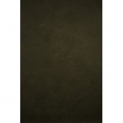 Hand Painted Olive Green Mid Texture Backdrop 8.9x16.4