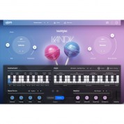 Ujam Beatmaker 2 Kandy Virtual Instrument