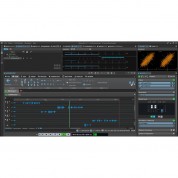 Steinberg Wavelab Elements 11 Audio Editing Software (educational)