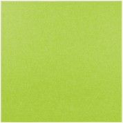 Primacoustic Ecoscapes Acoustic Wall Panels Apple 24x24