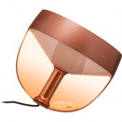 Philips Hue Iris Table Lamp White Color Ambiance Copper