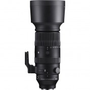 Sigma 60-600mm F/4.5-6.3 Dg Dn Os Lens Leica L