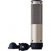 Royer Labs R-10 Hot Rod 25th Anniversary Ribbon Mic