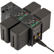 Watson Np-f970 Battery Kit With L-train 6-bay Charger