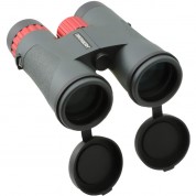 Oberwerk 8x42 Sport Ed Binoculars | Compact & Lightweight