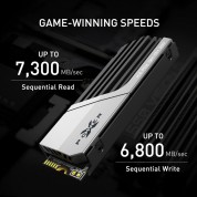 Silicon Power 1tb Xs70 Pcie 4.0 M.2 Ssd