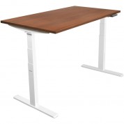 Mount-it! Dual Motor Electric Standing Desk 55