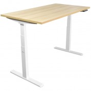 Mount-it! Dual Motor Electric Standing Desk 55