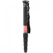 Sunwayfoto M3650c Carbon Fiber Monopod Dlc-58 Clamp