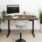 Mount-it! Dual Motor Electric Standing Desk 55