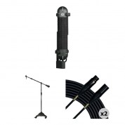 Aea R88a Stereo Ribbon Microphone Kit With Stand & Cables