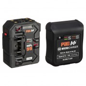 Pag Mini Paglink Mpl99g Battery & Charger Kit Gold Mount