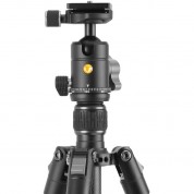 Vanguard Vesta Go 234cb Carbon Fiber Tripod Veo Bh-50