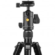 Vanguard Vesta Go 264ab Tripod With Veo Bh-60 Ball Head